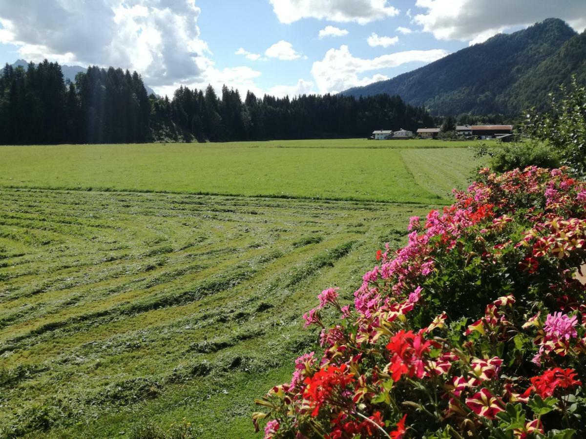 Gaestehaus Gruenbacher Kössen Kültér fotó