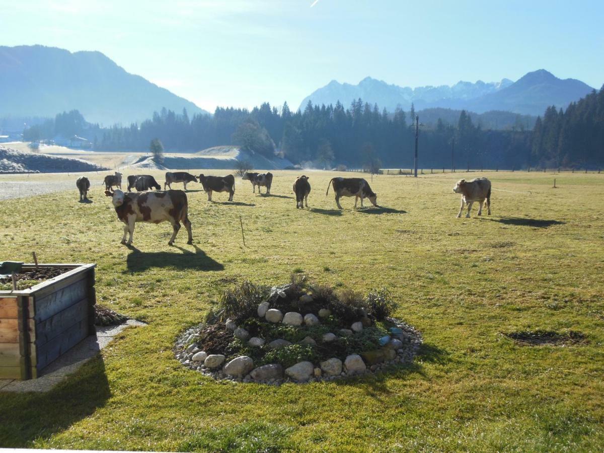 Gaestehaus Gruenbacher Kössen Kültér fotó